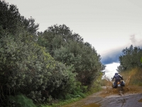 APRILIA CAPONORD 1200 RALLY: L'evoluzione della specie