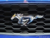 image ford-mustang-live-13-jpg