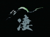 image kawasaki-z1000-ideogramma-sugomi-jpg