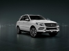 image mercedes-ml-special-edition-16-05-jpg