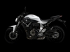 image yamaha-mt-07-my-2014-competition-white-laterale-sinistro-jpg