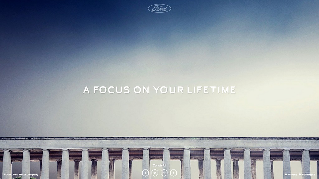 Focus A Lifetime