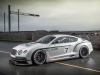 bentley-festival-of-speed-goodwood-2013-01