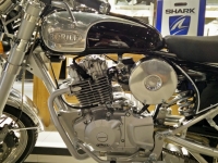 Borile-B-300-CR-39
