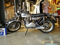 Borile-B-500-0