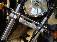 Borile-B-500-2
