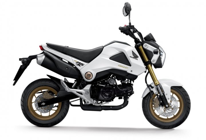 honda-msx125-ym2014-pearl-himalayans-white-laterale honda-msx125-ym2014-pearl-himalayans-white-laterale
