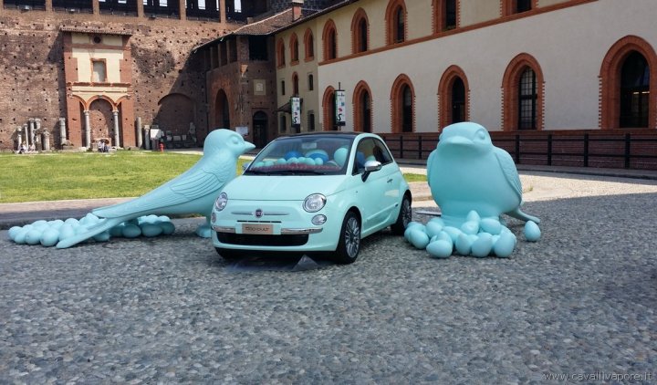fiat-500-cult-cracking-art-04 fiat-500-cult-cracking-art-04