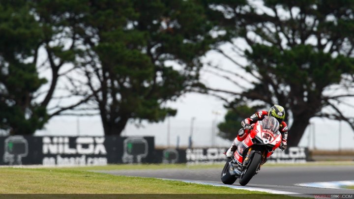 Superbike-2015-Phillip-Island-Gara-2-Troy-Bayliss Superbike-2015-Phillip-Island-Gara-2-Troy-Bayliss