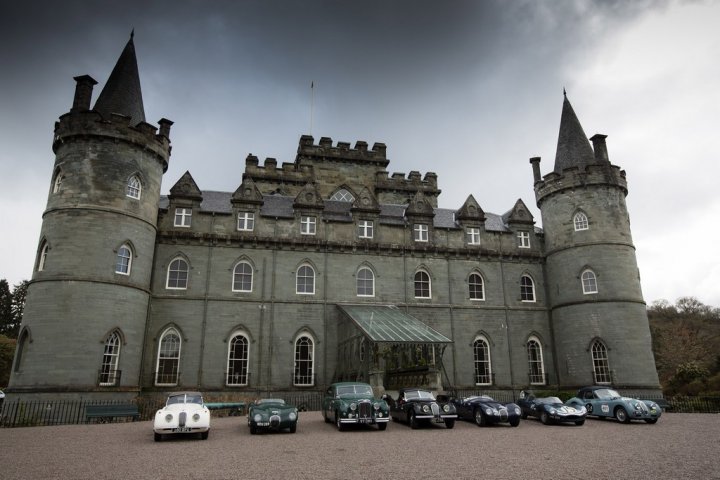 Jaguar-Mini-Miglia-2015-2 Jaguar-Mini-Miglia-2015-2