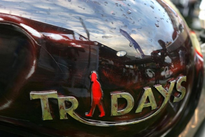 triumph-tridays_05 triumph-tridays_05