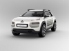 citroen-cactus