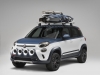 Fiat-500L-Vans-1
