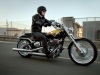 harley-davidson-fxsbse-110o-anniversario_5