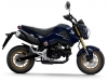 honda-msx125-ym2014-laterale