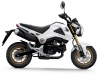 honda-msx125-ym2014-pearl-himalayans-white-laterale