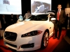 marco-santucci-jaguar