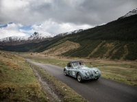 Jaguar-Mini-Miglia-2015-1