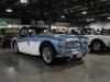 austin-healey