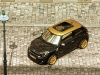 mini-paceman-cavalli-alto