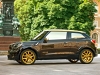 mini-paceman-cavalli-lato