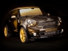 mini-paceman-cavalli