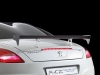 peugeot-rcz-racing-cup-replica-dettaglio-dietro