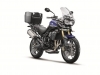 triumph-tiger-800