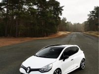 Renault-Clio-RS-EDC-Trophy-11