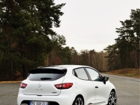 Renault-Clio-RS-EDC-Trophy-12