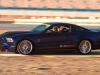 shelby-1000