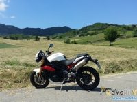 Triumph-Speed-Triple-R-Laterale-Sinistro