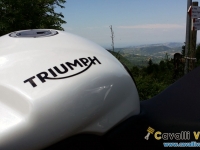 Triumph-Speed-Triple-R-Serbatoio