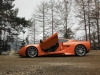 vencer-sarthe-arancio-portiera