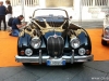 Verona-Legend-Cars-LIVE-25