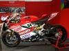 World-Ducati-Week-2014-12