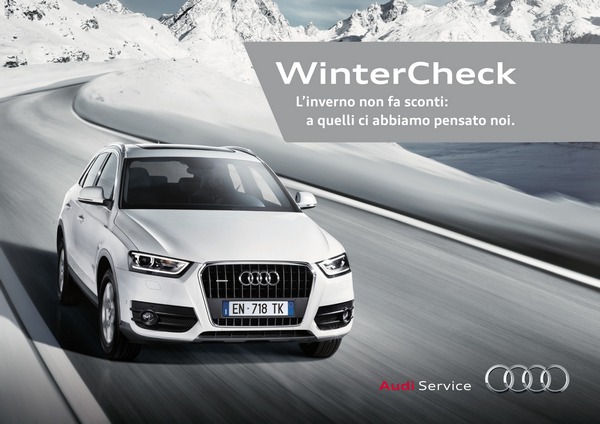 Audi car check