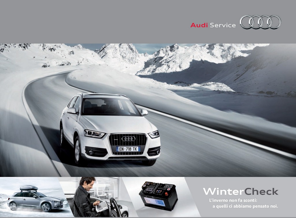 Audi WinterCheck 2013