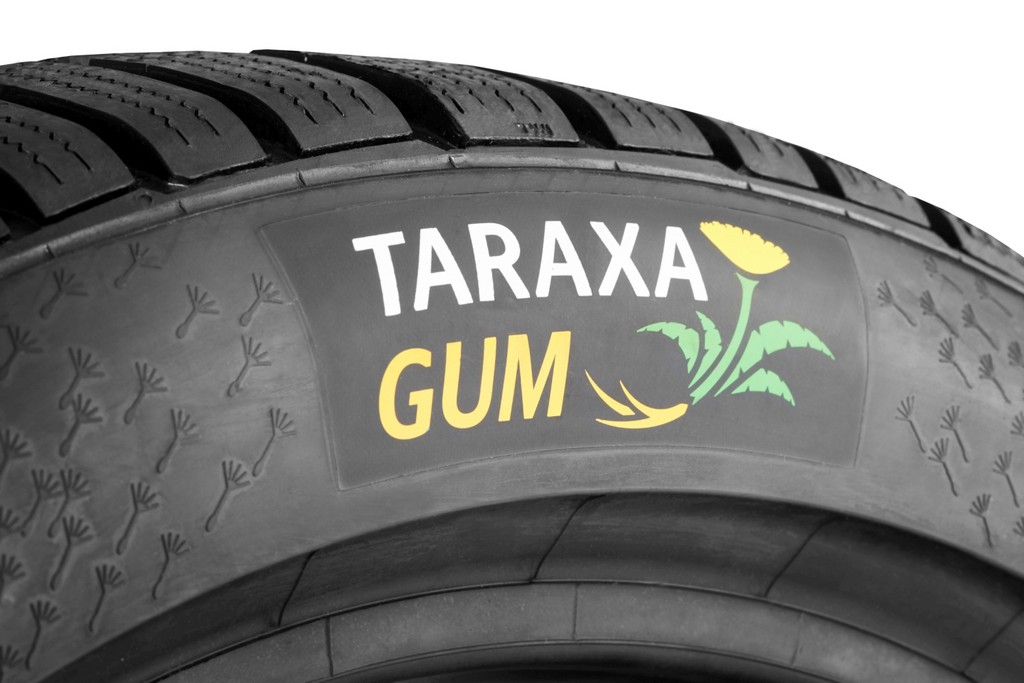 Continental Taraxagum Logo