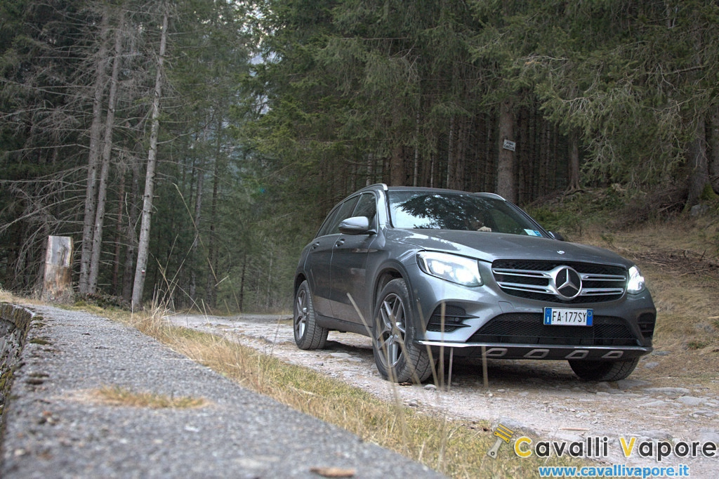 Mercedes GLC 250d 4MATIC Tre Quarti Bosco Basso