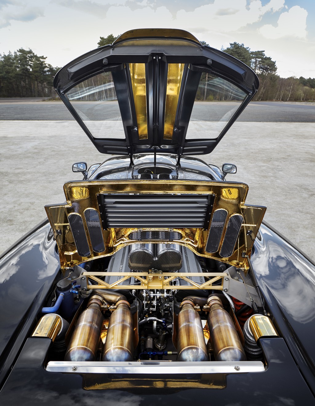 McLaren F1 Motore Oro