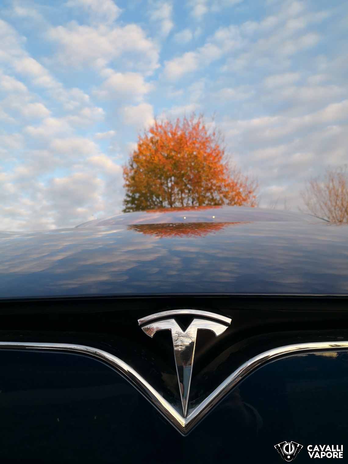 Tesla Model S 100D Logo Autunno